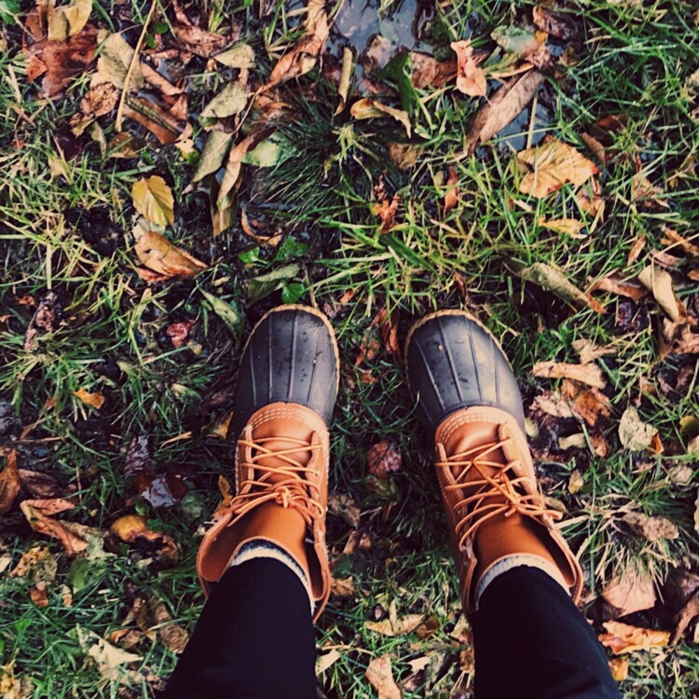 Meet your Posher, Alexa